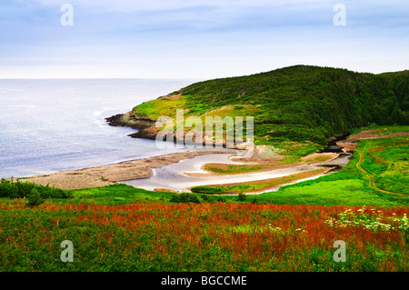 Malerische Küsten Aussicht auf felsigen Ufer Atlantik in Neufundland, Kanada Stockfoto