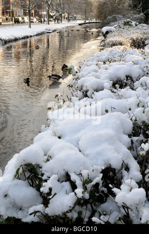 Fluß Gade im Winter, Hemel Hempstead, Hertfordshire, UK. Stockfoto