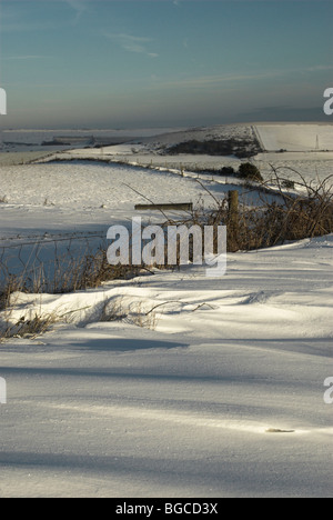 Schnee fällt in den South Downs National Park. Stockfoto