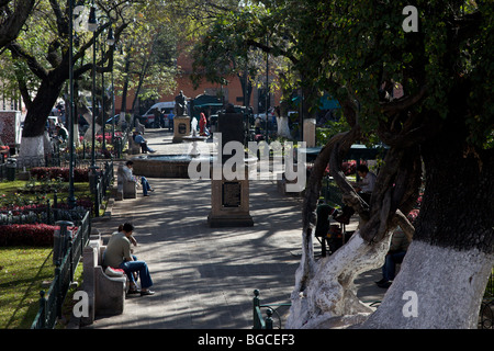 Blick auf den Rosengarten in Morelia, Michoacan Staat Mexiko. Stockfoto