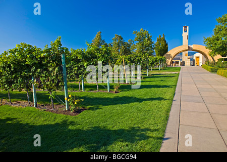 Weg in Richtung zum Eingang zur Mission Hill Family Estate Winery gesäumt von Weinreben, Westbank, West Kelowna, Kelowna, O Stockfoto