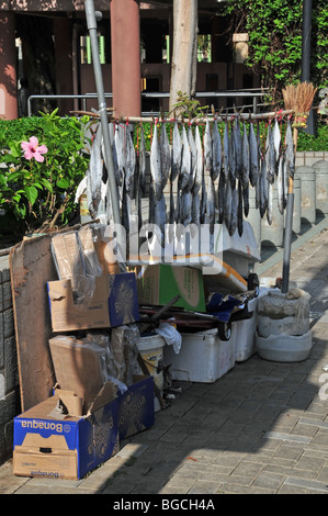 Porträtaufnahme der Fische vertikal trocknen in der Sonne, Aberdeen Promenade, Aberdeen, Hong Kong, China Stockfoto