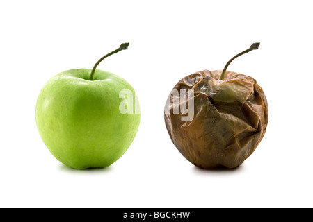 Metamorphose von zwei apple Stockfoto