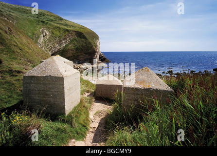 Worbarrow Bucht auf dem South West Coast Path in dorset Stockfoto