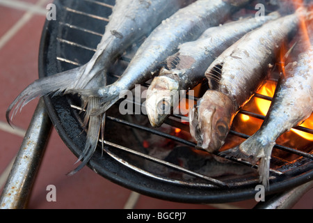 Gegrillter Fisch (Sardinen und eine Makrele) kochen auf einem Mini-grill Stockfoto