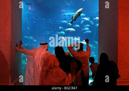 Hotelgäste vor die Ambassador Lagoon, Dubai, Vereinigte Arabische Emirate Stockfoto