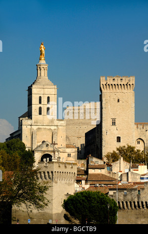 Turm der Kathedrale Notre-Dame-des-Doms & Fortified des Palais des Papes oder Palast der Päpste, Avignon, Provence, Frankreich Stockfoto