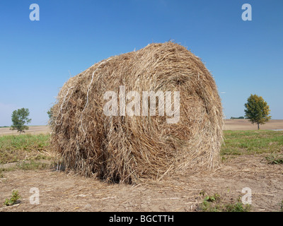 Heuballen Trocknung auf der Ackerfläche Stockfoto