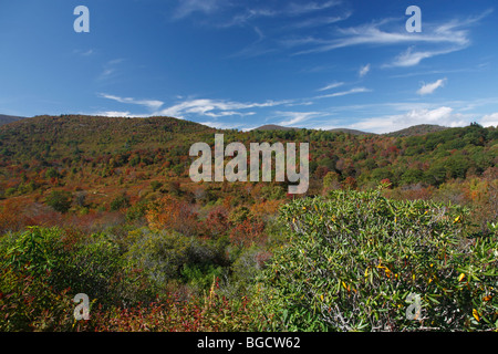 North Carolina NC Appalachian Mountains Blue Ridge Parkway erstaunliche Landschaft Wald Naturfotografie Top View horizontal in den USA USA Hi-res Stockfoto