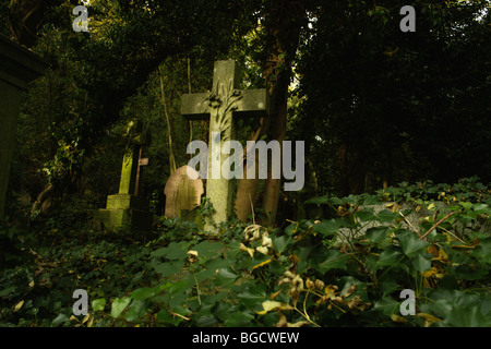 Grabsteine und Unterholz in Highgate Cemetery in London England UK Stockfoto