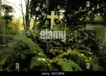 Grabsteine und Unterholz in Highgate Cemetery in London England UK Stockfoto