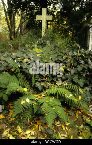 Grabsteine und Unterholz in Highgate Cemetery in London England UK Stockfoto