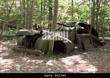 Vintage Karosserie im Wald Stockfoto