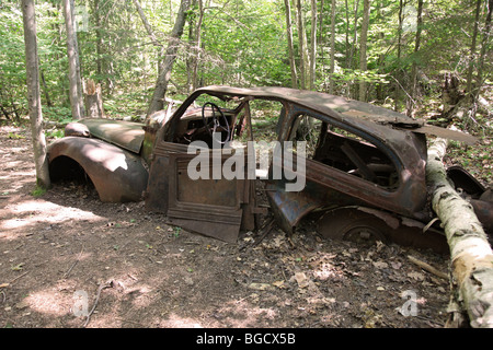 Vintage Karosserie im Wald Stockfoto