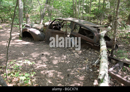 Vintage Karosserie im Wald Stockfoto