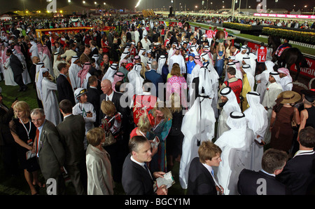 Die Teilnehmer der Dubai World Cup im Show-Ring, Dubai, Vereinigte Arabische Emirate Stockfoto