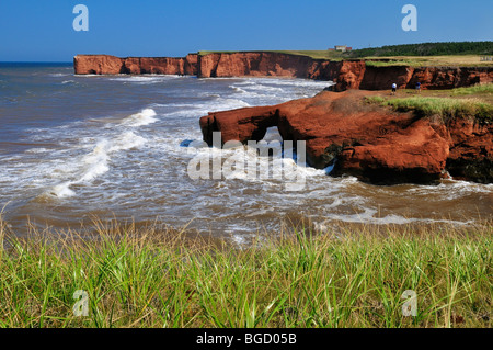 Rote Klippen von La Belle Anse, Ile du Cap Aux Meules, Iles De La Madeleine, Maritime Magdalen Inseln, Quebec, Kanada, Nord Amer Stockfoto