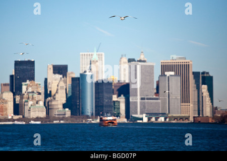 Möwen und der Manhattan Skyline, New York City Stockfoto