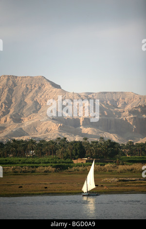 Feluke auf dem Nil Fluß in der Nähe von Luxor in Ägypten Stockfoto