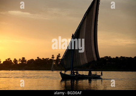 Feluke während des Sonnenuntergangs auf dem Nil in der Nähe von Luxor in Ägypten Stockfoto