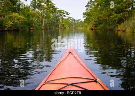 Kajaks am Alligator River im östlichen North Carolina, USA, Teil der Alligator River National Wildlife Refuge. Stockfoto