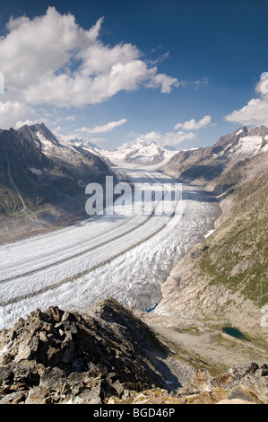 Aletschgletscher vor Jungfrau, Mönch, Eiger und Gross Wannenhorn Berge, Berner Alpen, Wallis, Schweiz, Europa Stockfoto