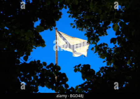 Saint Andrew Flagge Essen über die Admiralität in Sankt Petersburg, Russland Stockfoto