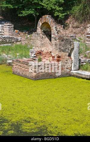 Die überfluteten Reste im Heiligtum des Asklepios in antiken Butrint im Süden Albaniens Stockfoto