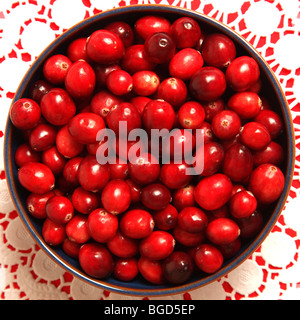 Eine Schüssel mit rohen Moosbeeren fertig gekocht werden Stockfoto