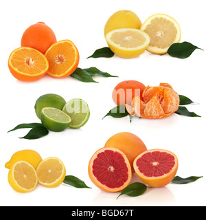 Zitrusfrucht-Sammlung von Zitronen, Limetten, Orangen, Mandarinen und Grapefruit mit Blatt Zweige, isoliert auf weißem Hintergrund. Stockfoto