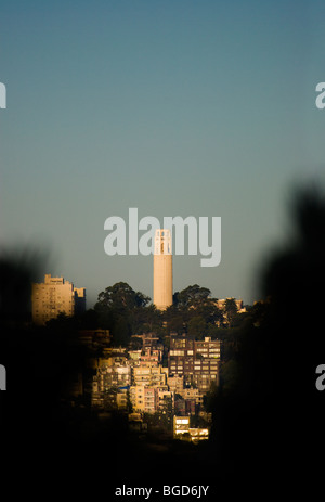 Coit Tower sitzt auf Fernschreiber-Hügel, San Francisco, Kalifornien, USA Stockfoto