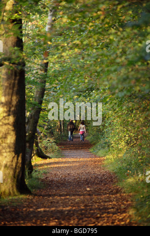 Ein junges Paar zu Fuß entlang eines Pfades durch Bäume im Herbst, Lochwinnoch, Renfrewshire Scotland UK Stockfoto