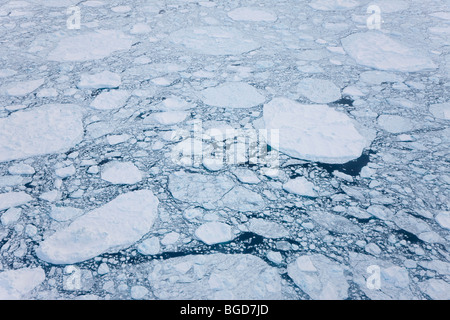 AERIEL Blick auf Meer Eis, Kulusuk, E. Grönland Stockfoto