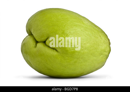 Eine Chayote (Sechium Edule) im Studio auf weißem Hintergrund fotografiert. Chayote Photographiée En Studio Sur fond Blanc. Stockfoto