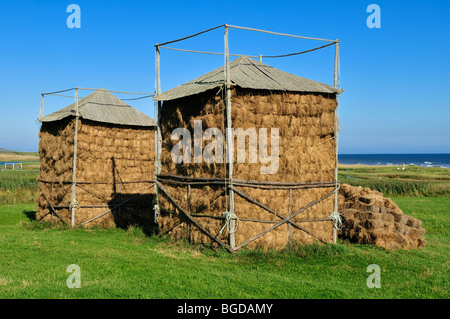 Typische Heu Lagerung, Haybale auf Ile du Havre Aubert, Iles De La Madeleine, Magdalen Inseln, Quebec Maritime, Kanada, Nord-Ame Stockfoto