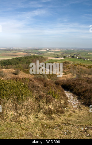 Blick über Dorset Landschaft von Hardys Denkmal, Portesham, England, UK Stockfoto