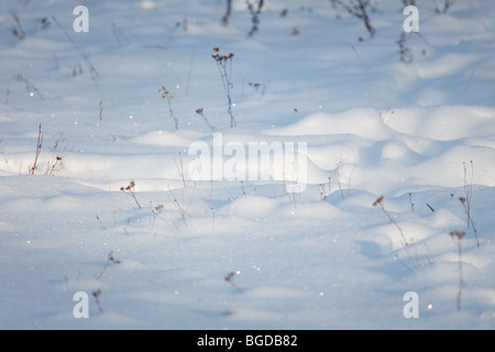 Frische Winter Schnee Hintergrund Stockfoto