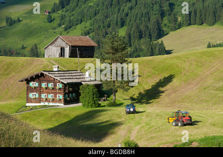 Heuernte in Hirschegg im Kleinwalsertal Tal, Allgäu, Vorarlberg, Österreich, Europa Stockfoto