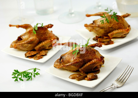 Gebratene Tauben. Rezept zur Verfügung. Stockfoto