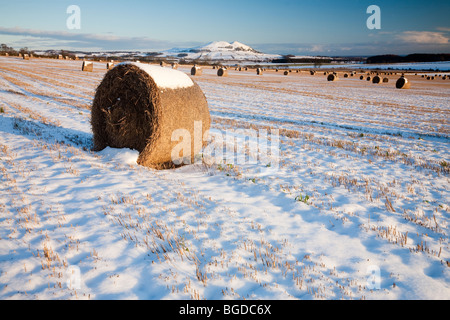 Strohballen und Largo Recht im Winter, Schottland Stockfoto