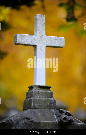 Grabstein mit hellem Stein überqueren vor bunten Herbstlaub, München, Bayern, Deutschland, Europa Stockfoto