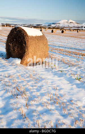 Strohballen und Largo Recht im Winter, Schottland Stockfoto