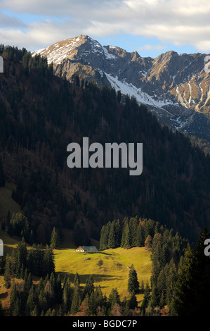 Alm, Almhütte auf Wiese mit schneebedeckten Berggipfeln, Hindelang, Allgäu, Bayern, Deutschland, Europa Stockfoto