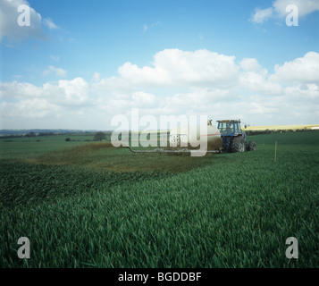 Traktor mit Tramspreader, Verbreitung von Gülle, organische Dünger, auf Weizenernte, Hampshire Stockfoto