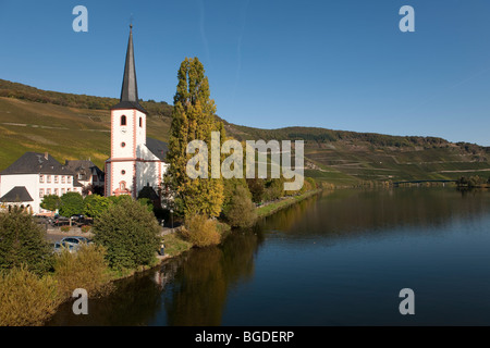 Piesport an der Mosel River, Rheinland-Pfalz, Deutschland, Europa Stockfoto