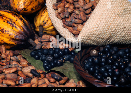 Açaí und Kakao gemischt Obst Stillleben Stockfoto