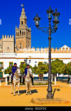 Polizisten auf dem Pferderücken in einem Innenhof der Reales Acazares Backdropped von La Giralda (Bell Tower/Minarett) in Santa Cruz di Stockfoto