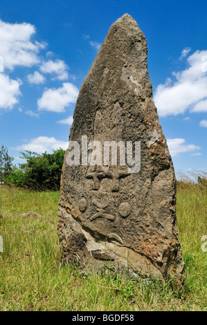 Alte steinerne Stele, Tiya, UNESCO-Weltkulturerbe, Oromia, Äthiopien, Afrika Stockfoto