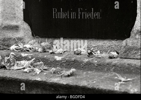 Grabstein mit Herbst Blätter in schwarz und weiß, München, Bayern, Deutschland, Europa Stockfoto