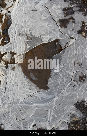 Loch in dünne Eisdecke auf gefrorenen Pfütze auf einem kalten frostigen Wintermorgen in Irland Stockfoto